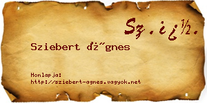 Sziebert Ágnes névjegykártya